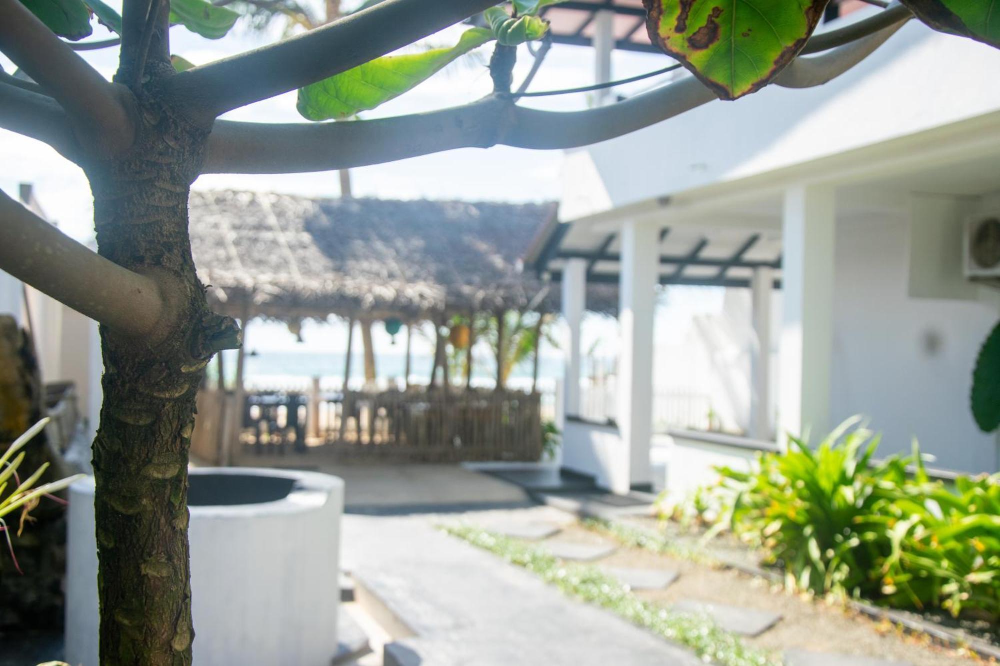 Sailors' Bay Bed & Breakfast Hikkaduwa Exterior foto